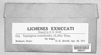 Image Associated With the Occurence